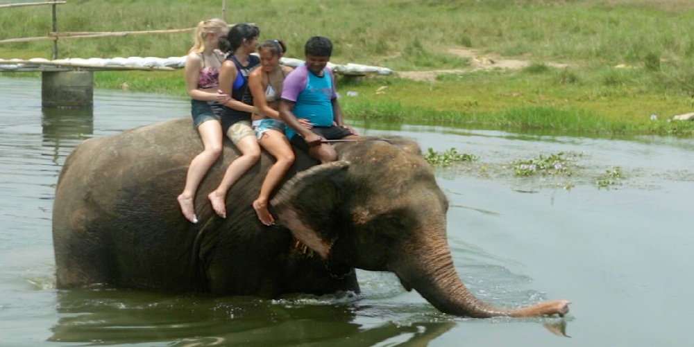 chitwan taxi